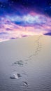 Footprints in deesert sands Royalty Free Stock Photo