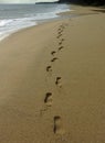 Footprints on Desaru beach Royalty Free Stock Photo