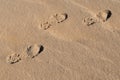 Footprints in desert 1 Royalty Free Stock Photo