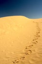 Footprints on the desert Royalty Free Stock Photo