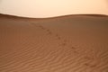 Footprints on a desert dune