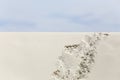 Footprints in the Desert Royalty Free Stock Photo