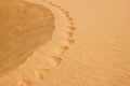 Footprints in a desert. Royalty Free Stock Photo