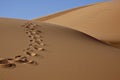 Footprints in desert sand Royalty Free Stock Photo