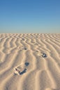 Footprints in the desert sand Royalty Free Stock Photo