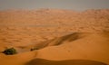 Footprints in desert sand Royalty Free Stock Photo