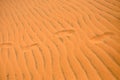 Footprints in the desert sand Royalty Free Stock Photo