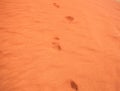Footprints on desert sand Royalty Free Stock Photo