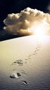 Footprints in desert White Sands New Mexico Royalty Free Stock Photo