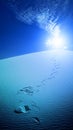 Footprints in desert White Sands Royalty Free Stock Photo