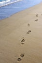 Footprints on deserted sandy beach Royalty Free Stock Photo
