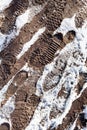 Footprints on dirty path covered by snow Royalty Free Stock Photo