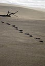 Footprints on distant beach Royalty Free Stock Photo