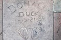 Footprints of the Donald Duck