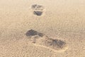 Footprints on the dry sand. Blurred image. Royalty Free Stock Photo