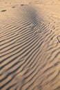 Footprints on dry wavy sand background on a warm summer day in the Baltic seaside in Liepaja beach, Latvia