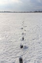 Footprints in the field in the snow Royalty Free Stock Photo