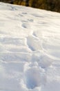Footprints through fresh deep soft snow