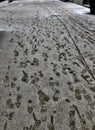 Footprints on Fresh Fallen Snow