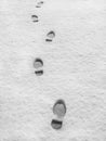 Footprints in fresh snow