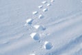 Footprints in fresh snow