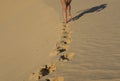 Footprints of girl on the sand on a dune in the Sahara desert Royalty Free Stock Photo