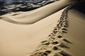 Footprints on the top of one of the sand dunes, Gobi, Mongolia Royalty Free Stock Photo