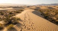 Footprints in Golden Sand Dunes Desert Landscape Royalty Free Stock Photo