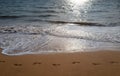 Footprints at golden sand, footsteps. Beach background. Calm beautiful ocean wave on sandy beach. Sea view from tropical Royalty Free Stock Photo