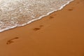 Footprints at golden sand, footsteps. Tropical beach with sea sand on summer vacation.