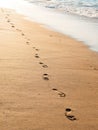 footprints on the golden sand by the sea Royalty Free Stock Photo