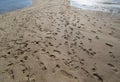 Footprints at Golden Scale Dragon Spine Beach
