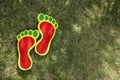 footprints on the grass, Trace of footsteps on beautiful green grass Royalty Free Stock Photo