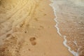 Footprints of human feet on the sand near the water Royalty Free Stock Photo