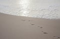 Footprints imprinted on the sand