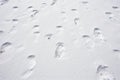 footprints indenting fresh snow