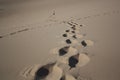 Footprints on the Khongor sand dunes, Gobi desert, Mongolia.