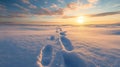 Footprints Leading Through a Snowy Landscape at Sunset Royalty Free Stock Photo