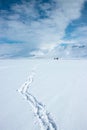 Footprints of man walking in the snow. Mountain plain winter landscape Royalty Free Stock Photo