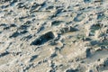 Footprints in medical mud Royalty Free Stock Photo