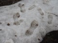 Footprints on melting snow covered wet sidewalk pavement. Safety issue. Beware slippery concept. Abstract urban winter background