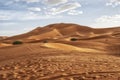 Footprints on the Merzouga dessert during hot aftenoon time Royalty Free Stock Photo