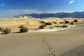 Mesquite Flat Sand Dunes, Death Valley National Park, Footprints in Morning Light, California, USA Royalty Free Stock Photo