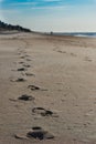 Footprints on the morning sand. Royalty Free Stock Photo