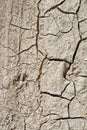 Footprints in mud Royalty Free Stock Photo