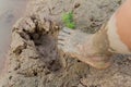 Footprints in the mud Royalty Free Stock Photo