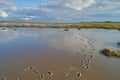 Footprints in the mud flats of the Wadden Sea during low tide Royalty Free Stock Photo