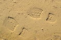 Footprints on the mud Royalty Free Stock Photo