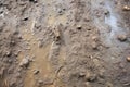 footprints on the muddy trail Royalty Free Stock Photo