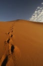 Footprints of one person in desert sand dune Royalty Free Stock Photo